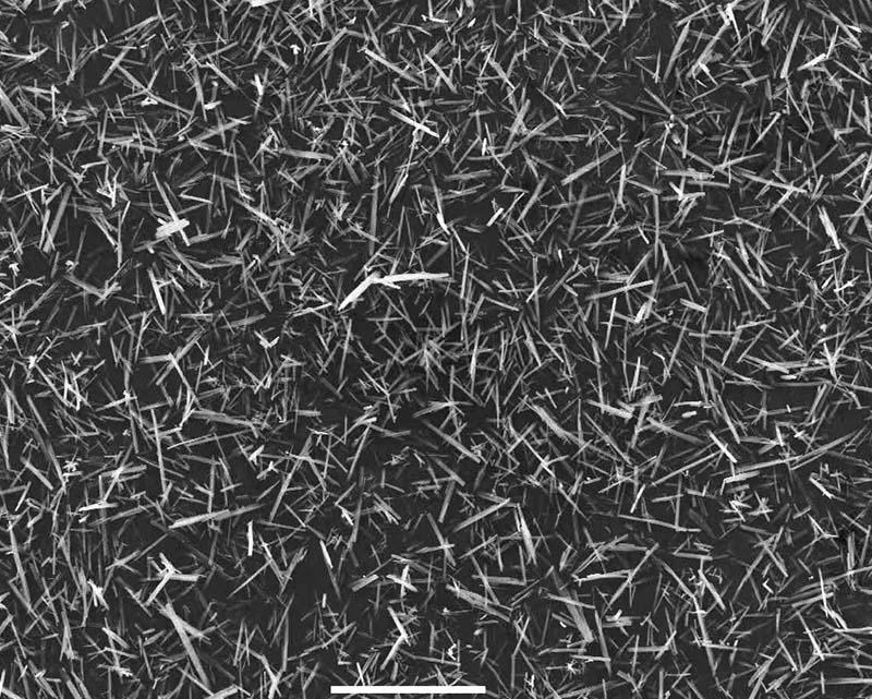 Magnesium Borate Whisker